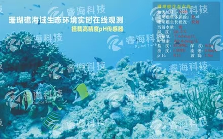 水下波浪在線觀測系統(tǒng)